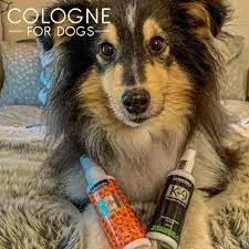 Ancol - K9 Cologne - 100ml