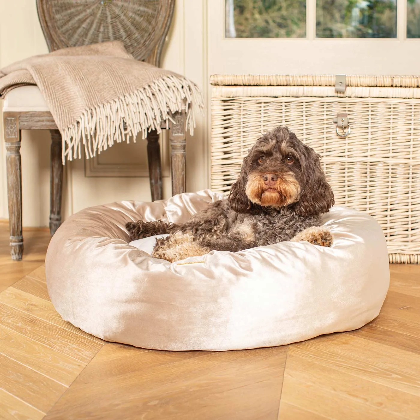 Donut Bed in Mushroom Velvet by Lords & Labradors