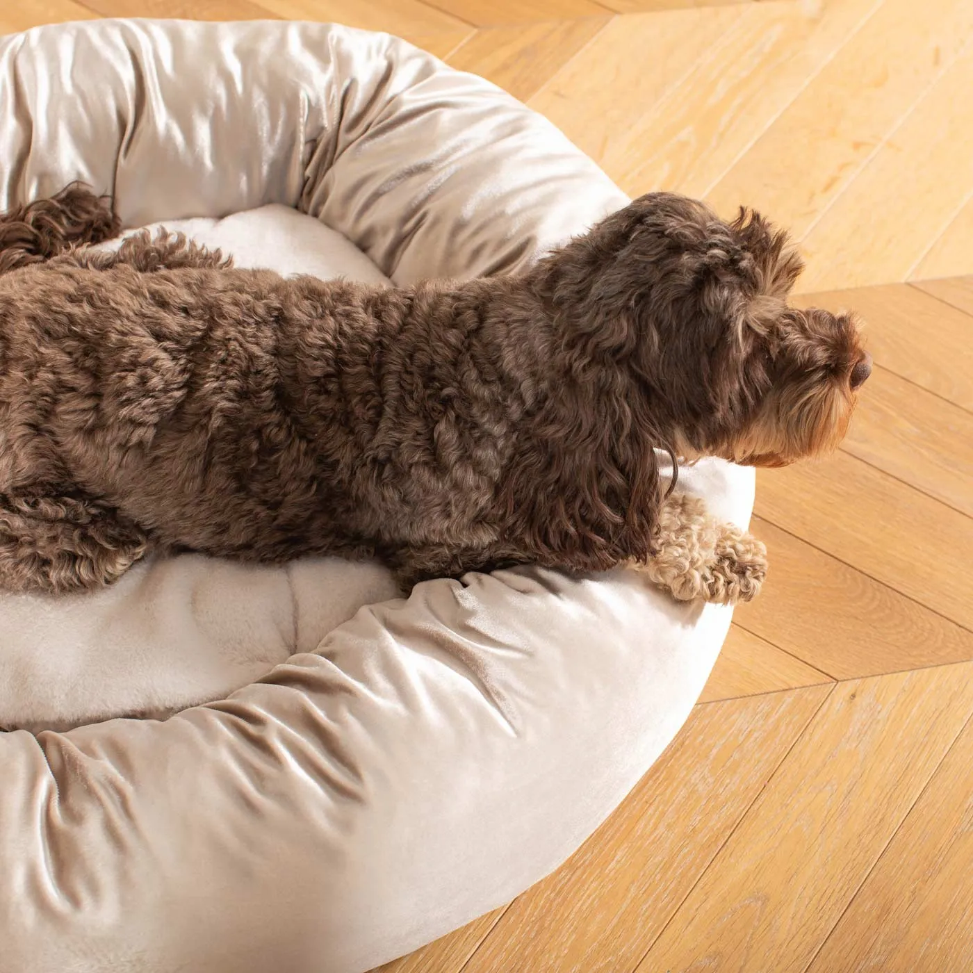 Donut Bed in Mushroom Velvet by Lords & Labradors