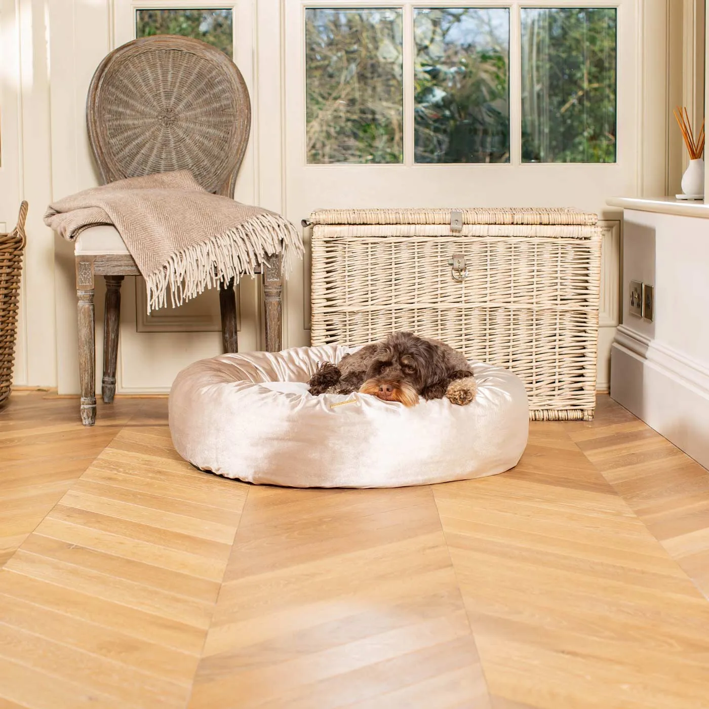 Donut Bed in Mushroom Velvet by Lords & Labradors