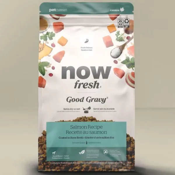 Now Fresh Good Gravy Salmon Recipe Small Breed Adult Dry Dog Food