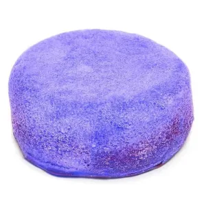 Sweet Treat Round Soap Sponge